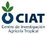 Centro De Investigacion Agricola Tropical Ciat