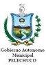 Gobierno Autonomo Municipal De Pelechuco