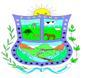 Gobierno Autonomo Municipal De Sopachuy