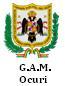 Gobierno Autonomo Municipal De Ocuri