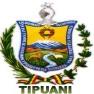 Gobierno Autonomo Municipal De Tipuani