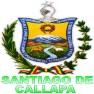 Gobierno Autonomo Municipal De Santiago De Callapa